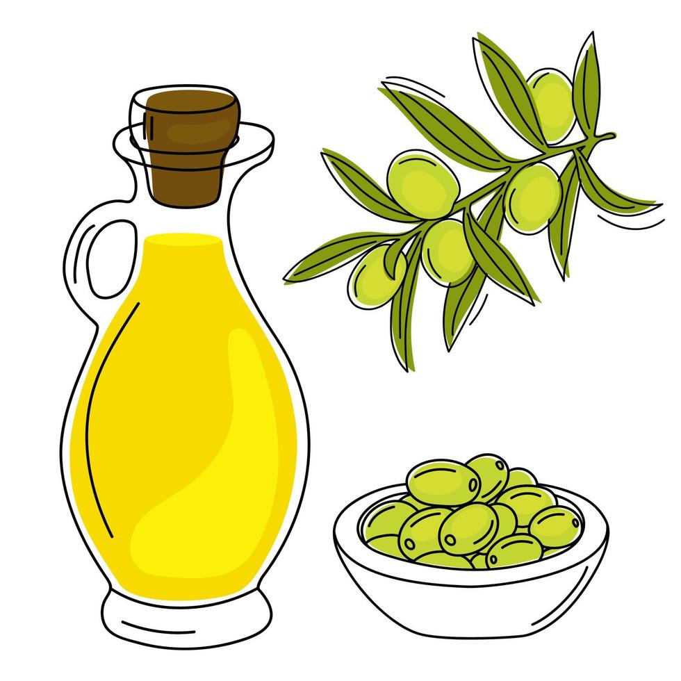 brocca di vetro disegnata a mano di olio d'oliva, ramo d'ulivo e olive verdi. vettore