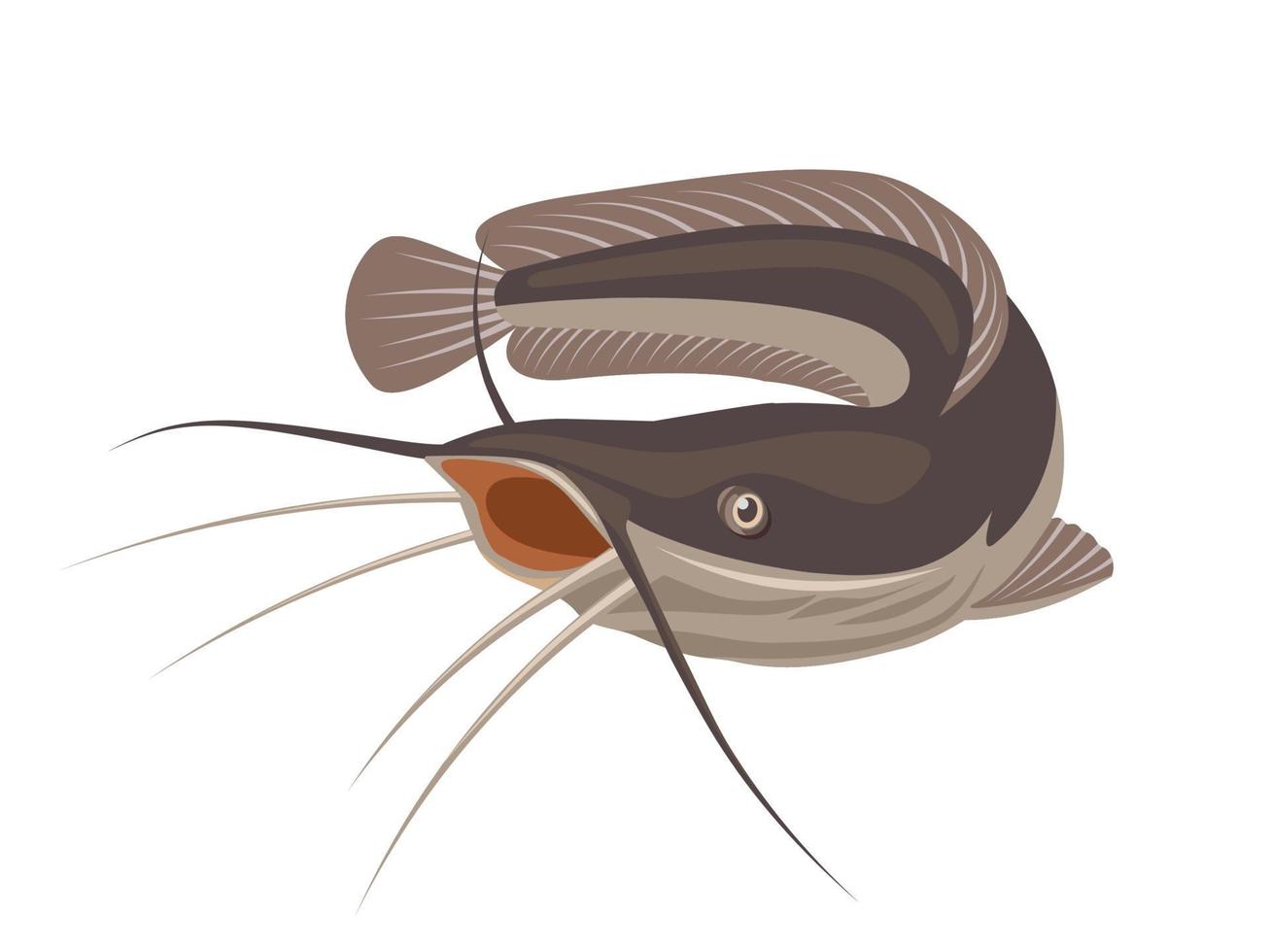 illustrazione vettoriale di pesce gatto, isolato su sfondo bianco, adatto come etichetta per prodotti ittici trasformati o hobby di pesca.