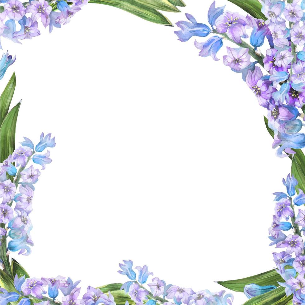 cornice floreale primaverile dell'acquerello del giacinto su sfondo bianco, tracciata vettore