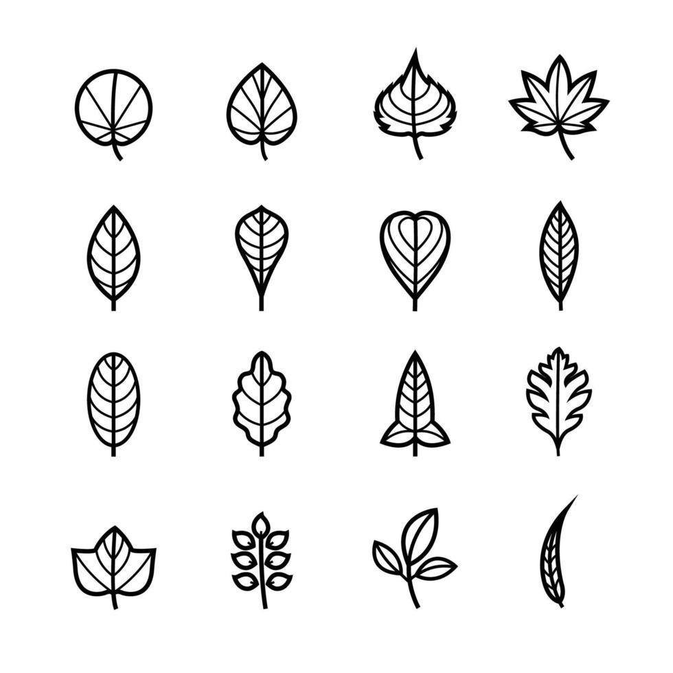 icone di foglie per modello con sfondo bianco vettore
