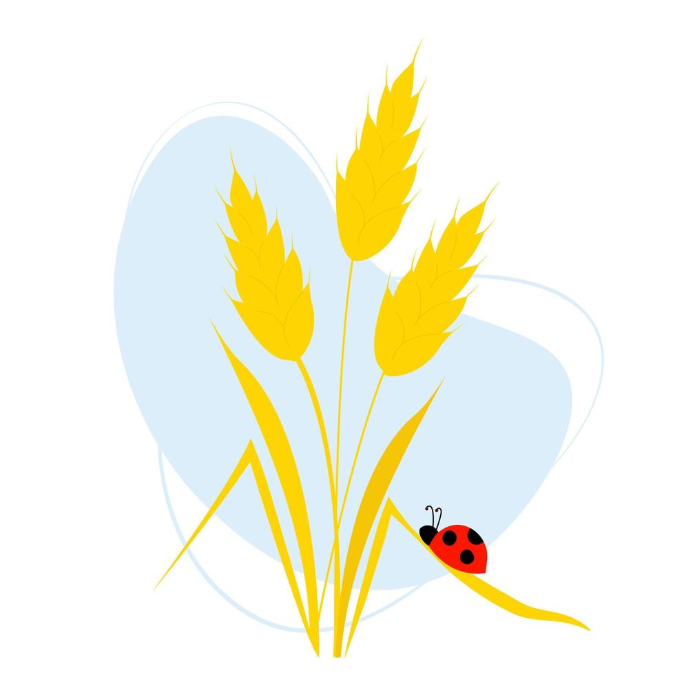 bouquet di spighette di grano con coccinella su foglia. illustrazione vettoriale