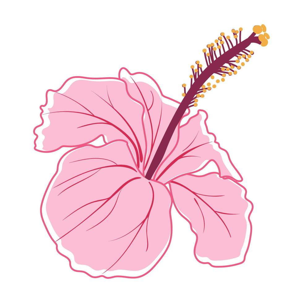 pianta esotica decorativa del fiore dell'ibisco tropicale vettore