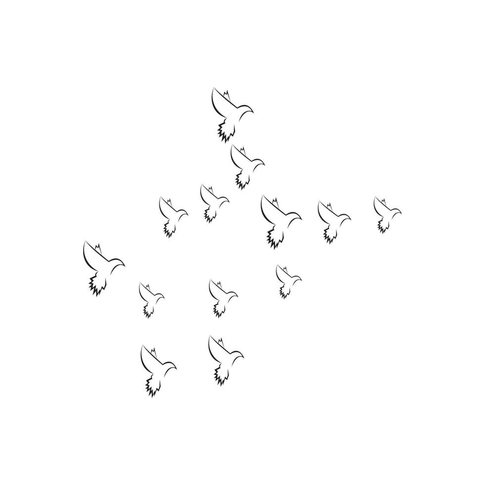 logo di sfondo del piccione vettore