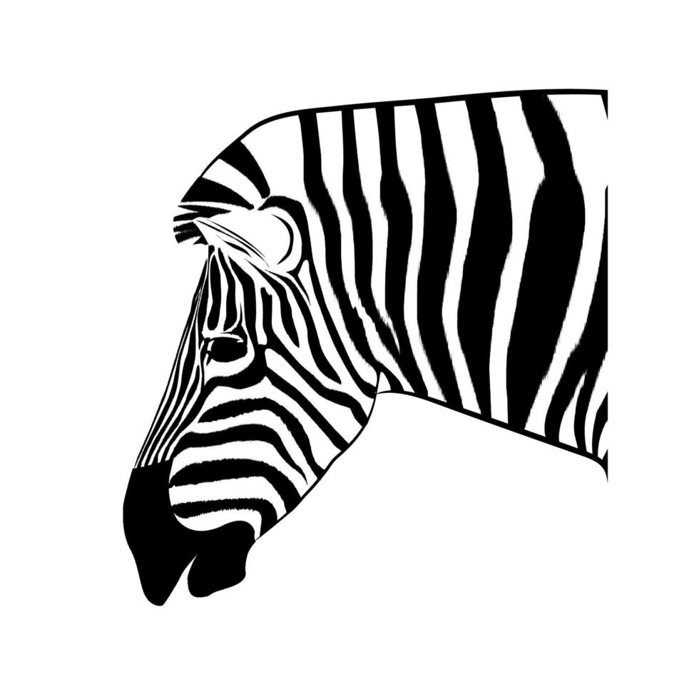 grafica immagine disegno testa animale di zebra illustrazione vettoriale isolato sfondo bianco