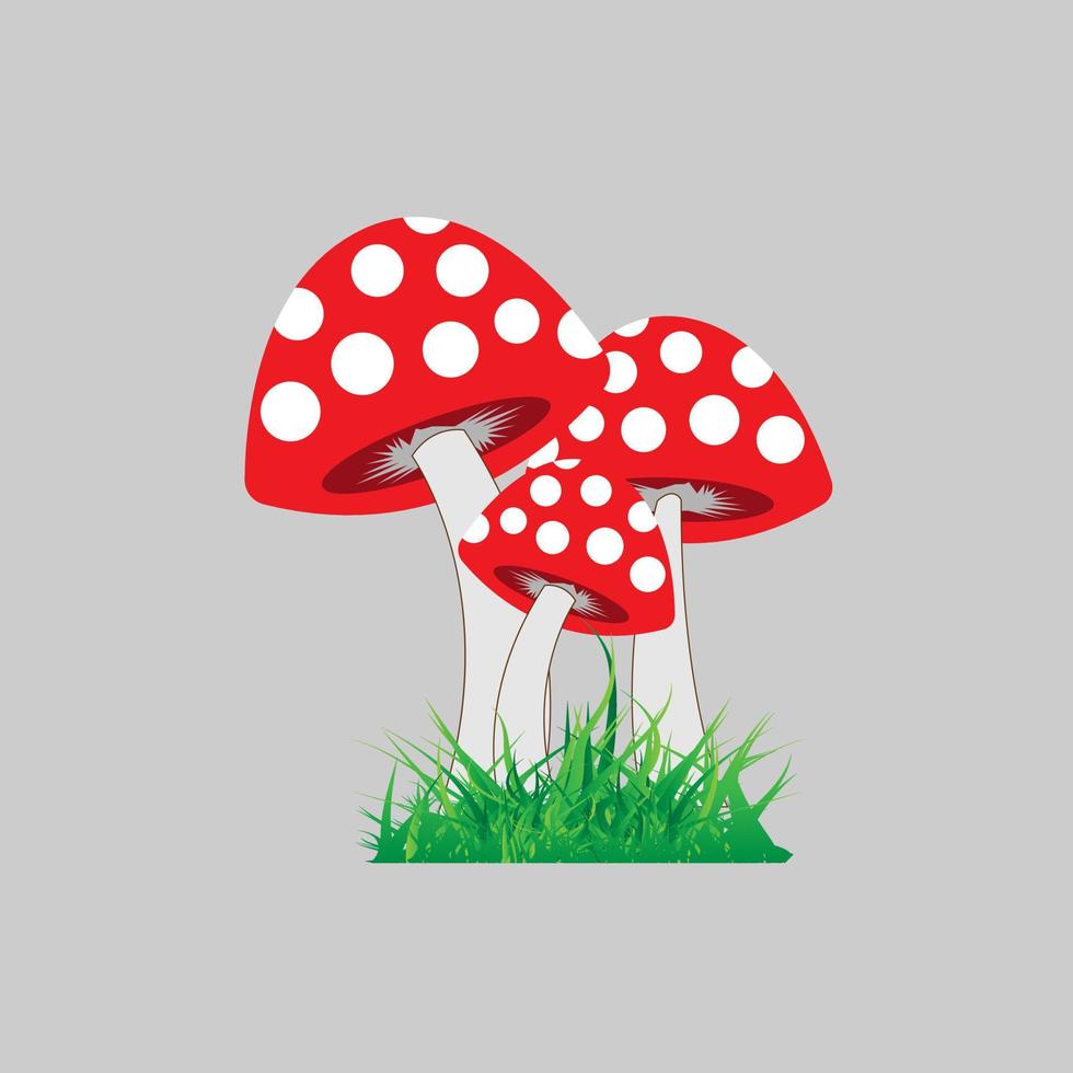 simpatico disegno di illustrazione di funghi vettore