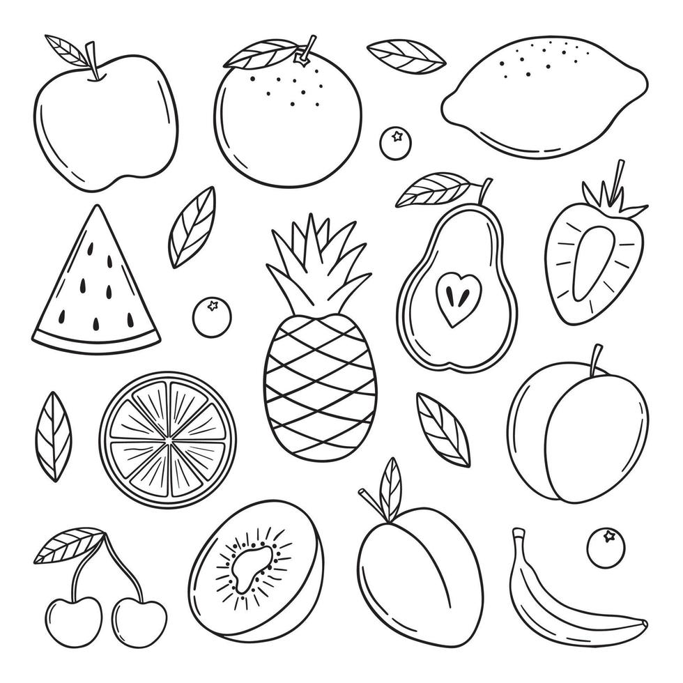 insieme disegnato a mano di doodle di frutti tropicali estivi. cibo vegetariano in stile schizzo. illustrazione vettoriale isolato su sfondo bianco.