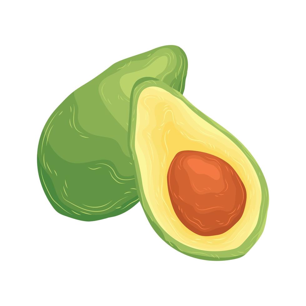 elemento estivo avocado dieta prodotto vettore frutta cartone animato schizzi esotici mercato tropicale salute carino