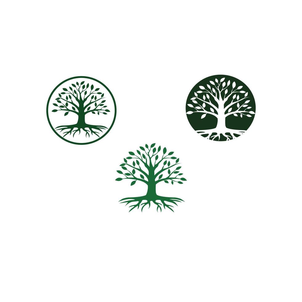 vettore logo albero e radice