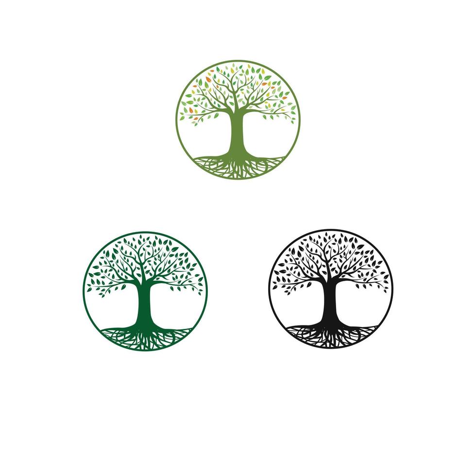 natura dell'albero e della radice vettore