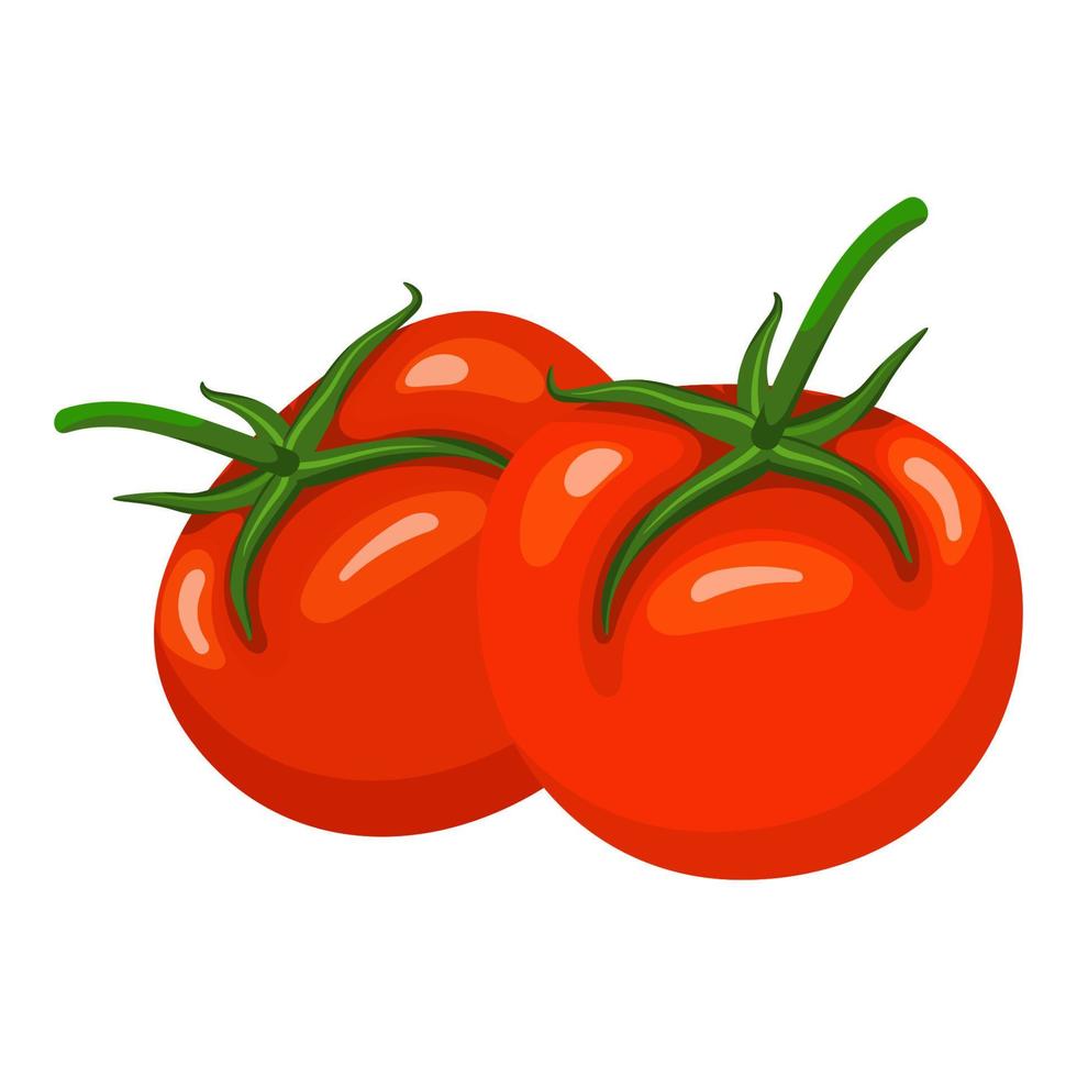 due frutti di pomodoro isolati su uno sfondo bianco. illustrazione vettoriale per negozio di verdure, app, giochi e molto altro.