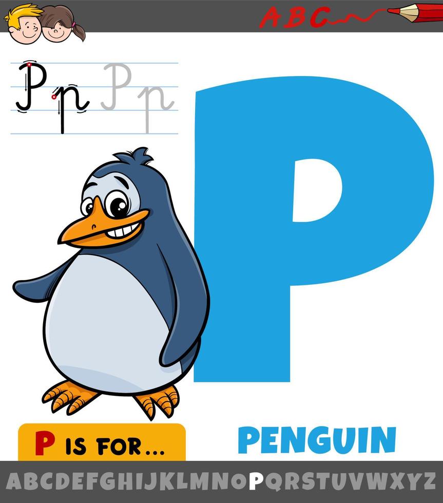 lettera p dall'alfabeto con il personaggio animale del pinguino dei cartoni animati vettore