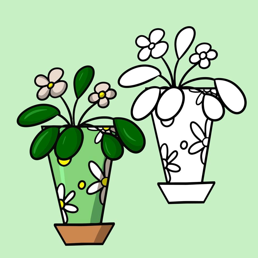 un set per libri da colorare, immagini a colori e monocromatiche. pianta da interno in un vaso verde con un motivo, fiore di saintpaulia con fiori bianchi, illustrazione vettoriale cartone animato su sfondo chiaro