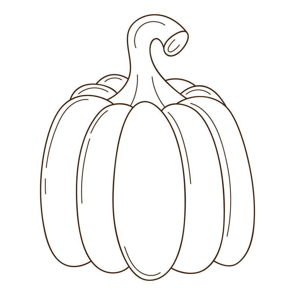 una zucca intera. un simbolo dell'autunno, del raccolto. elemento di design con contorno. scarabocchio, disegnato a mano. vegetale, pianta di melone. illustrazione vettoriale bianco nero. Isolato su uno sfondo bianco