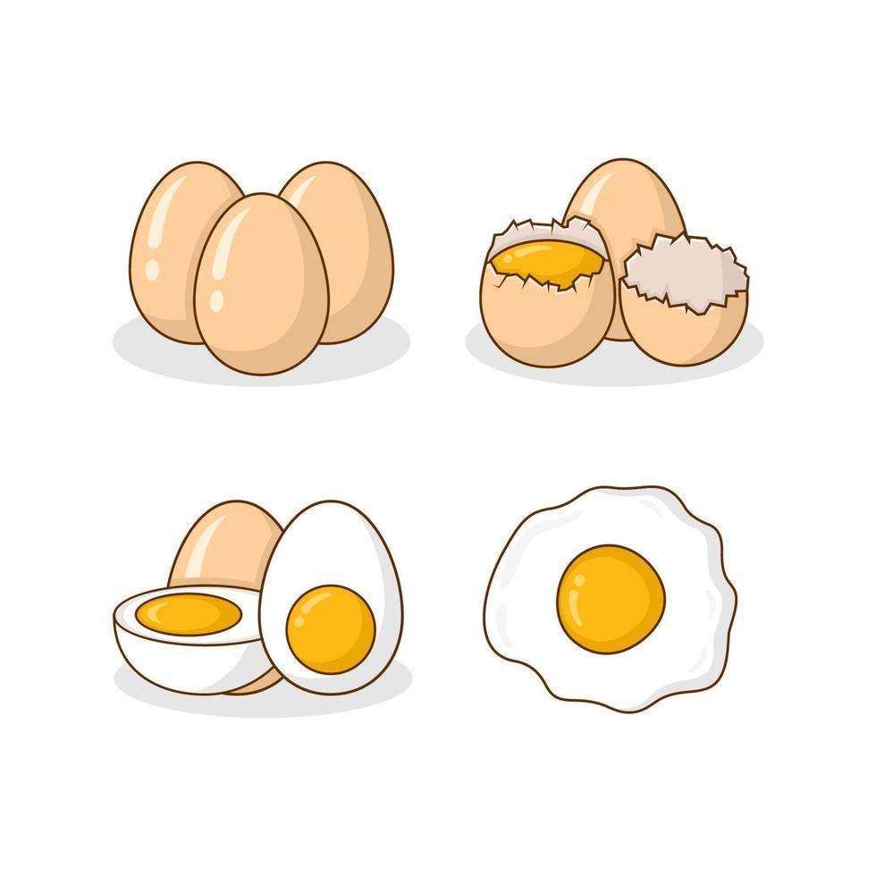 raccolta dell'illustrazione di disegno di vettore delle uova di gallina