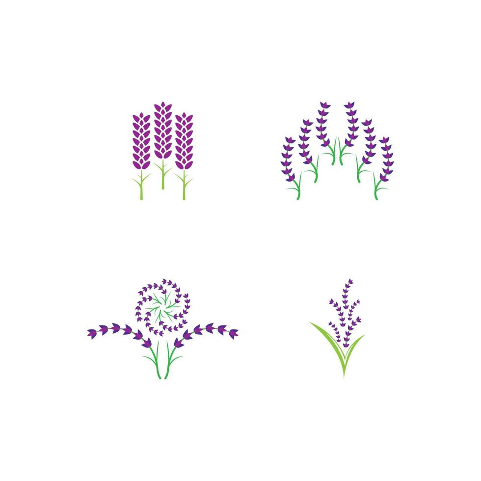 vettore di logo di fiori di lavanda fresca