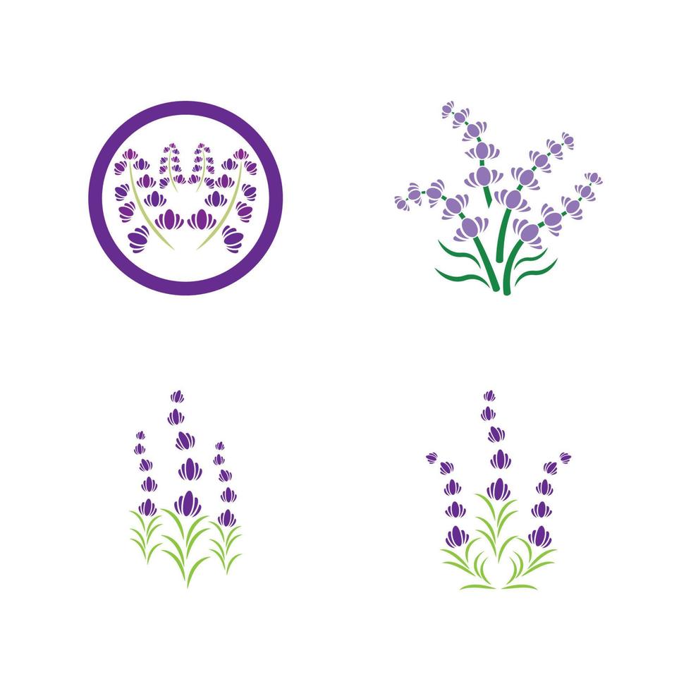 vettore di logo di fiori di lavanda fresca