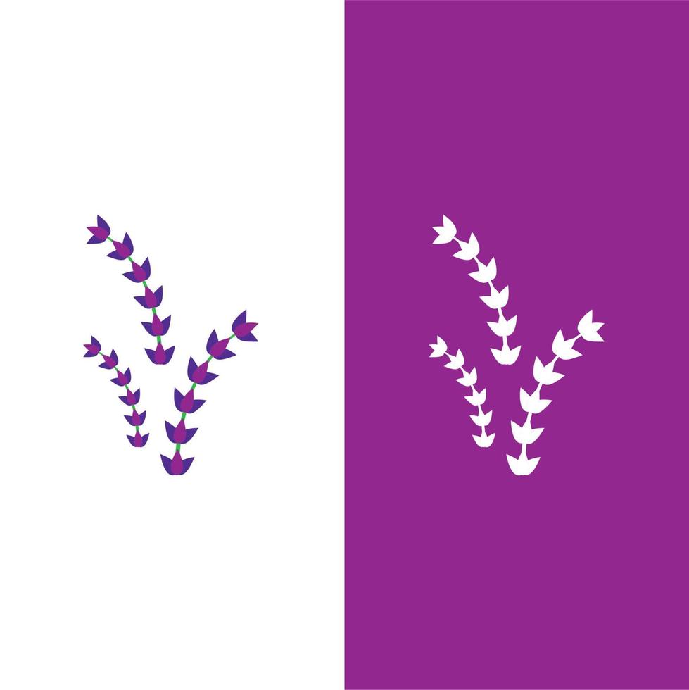 vettore di logo di fiori di lavanda fresca