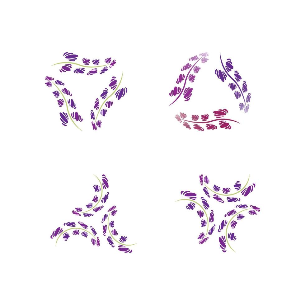 vettore di logo di fiori di lavanda fresca