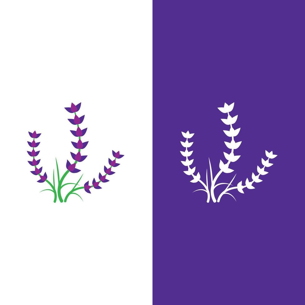 vettore di logo di fiori di lavanda fresca