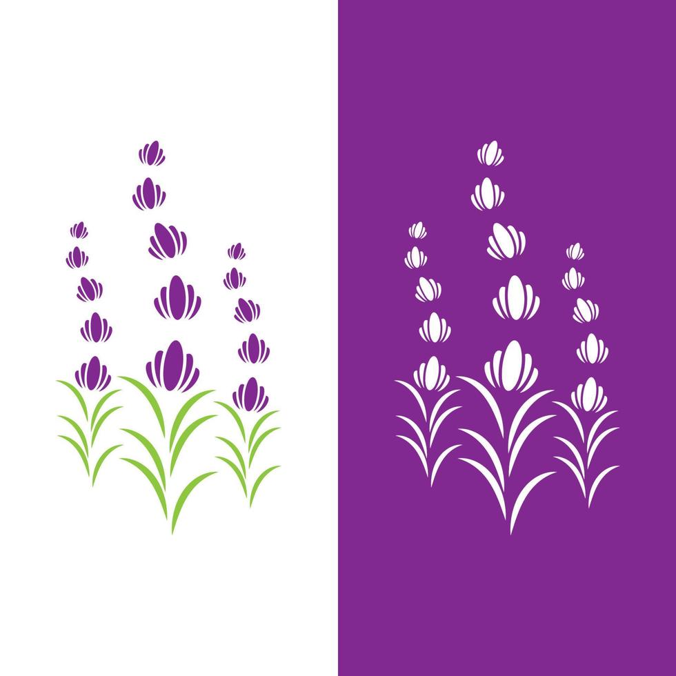 vettore di logo di fiori di lavanda fresca