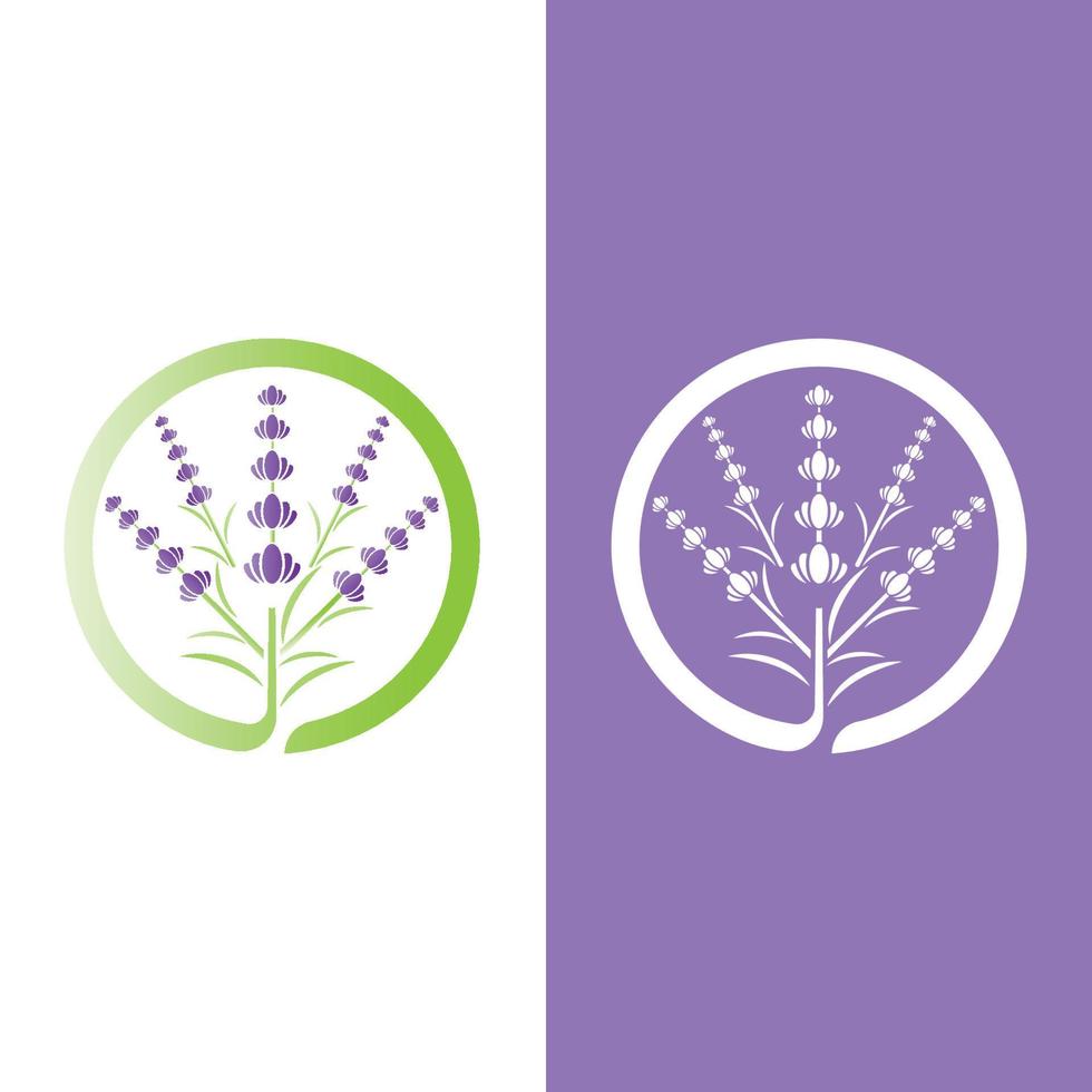 vettore di logo di fiori di lavanda fresca