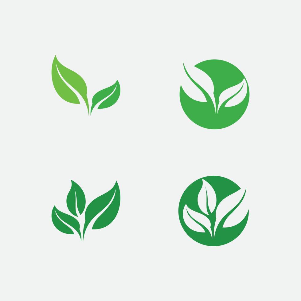 logo del set di foglie e alberi della natura per la progettazione di ecologia delle piante verdi di vettore di affari
