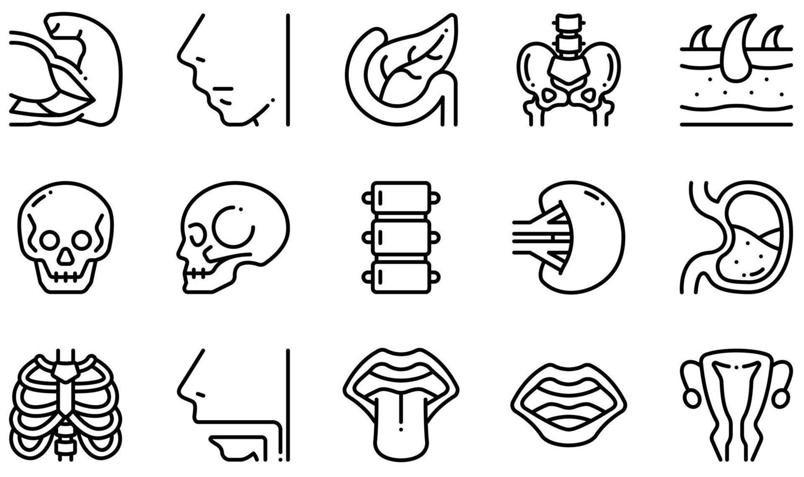 set di icone vettoriali relative al corpo umano. contiene icone come muscoli, naso, pancreas, bacino, cranio, pelle e altro ancora.
