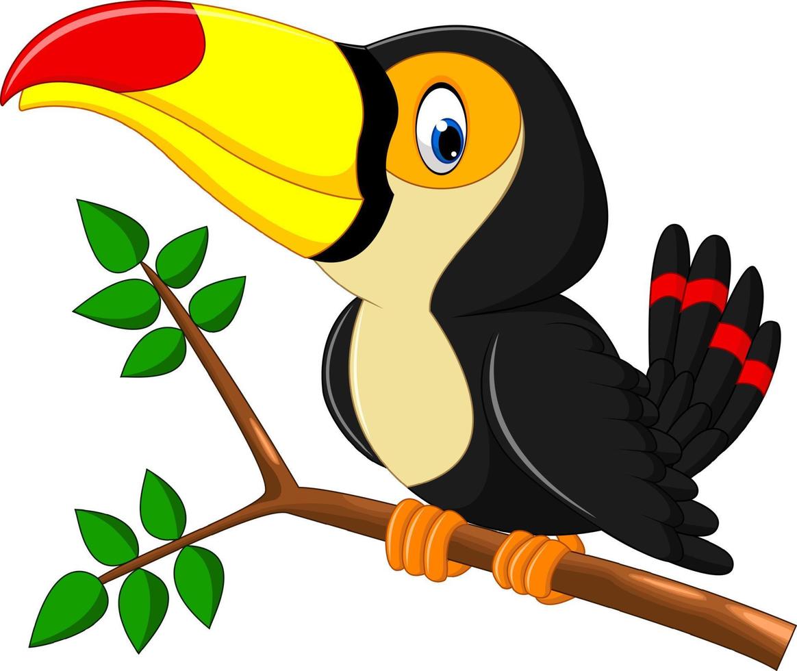 cartone animato uccello felice tucano vettore