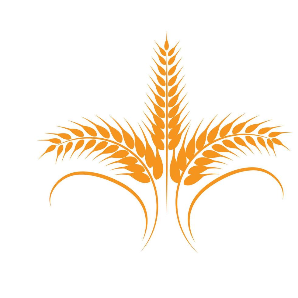 disegno vettoriale logo grano