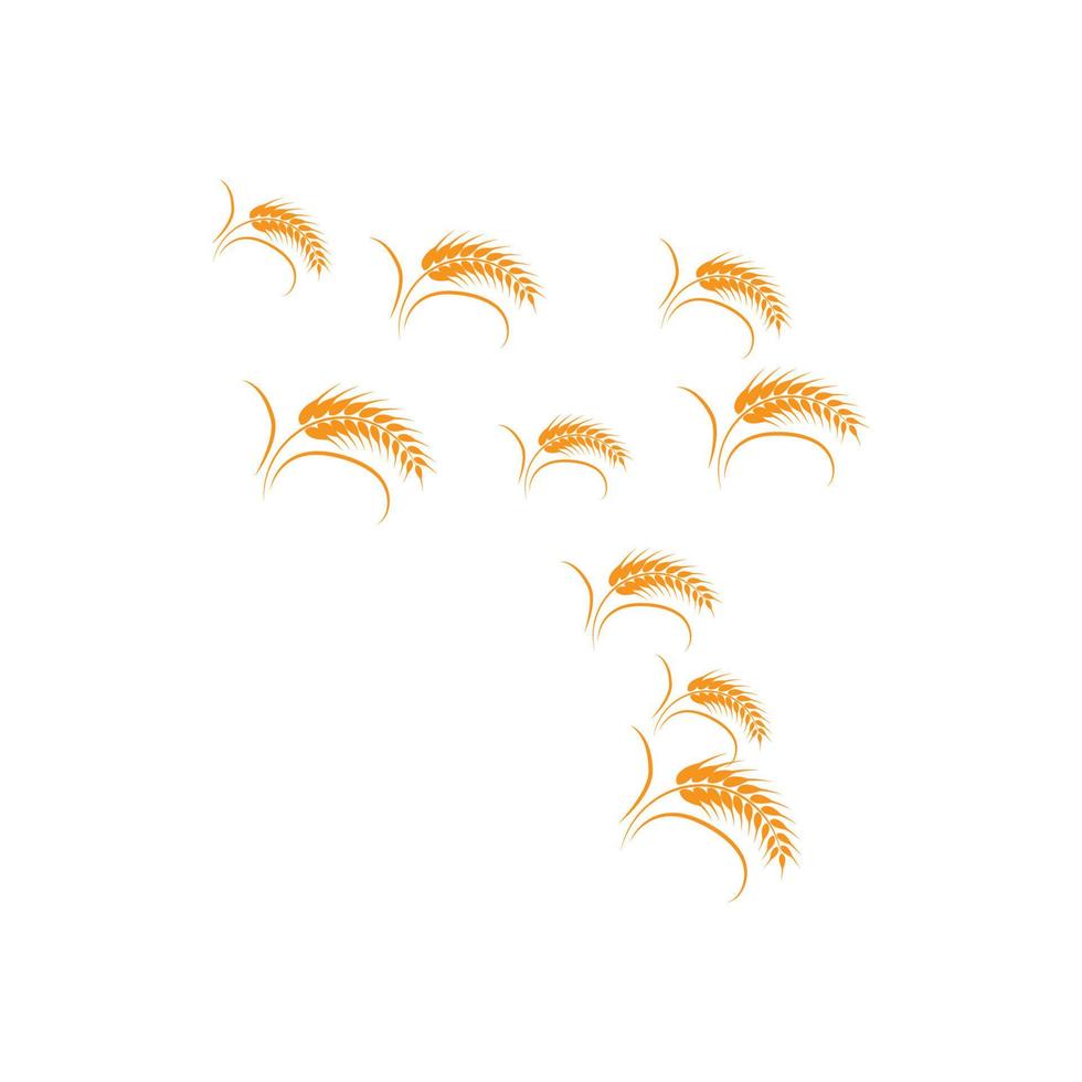 disegno vettoriale logo grano