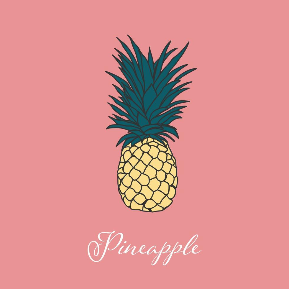 disegno dell'immagine dell'oggetto isolato dell'ananas tropicale. disegno dell'elemento vettoriale. elemento disegnato a mano. vettore