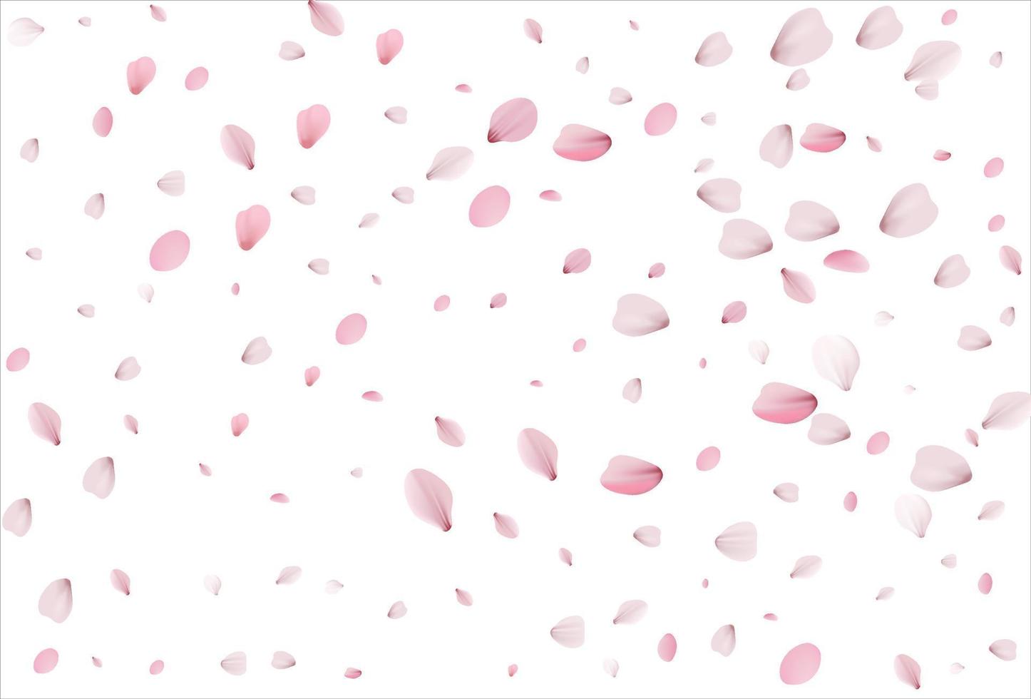 sfondo di petali di sakura. petali di ciliegio vettore