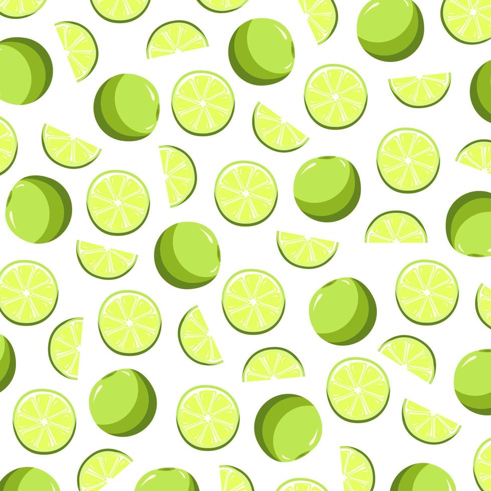 modello illustrazione vettoriale di frutta lime