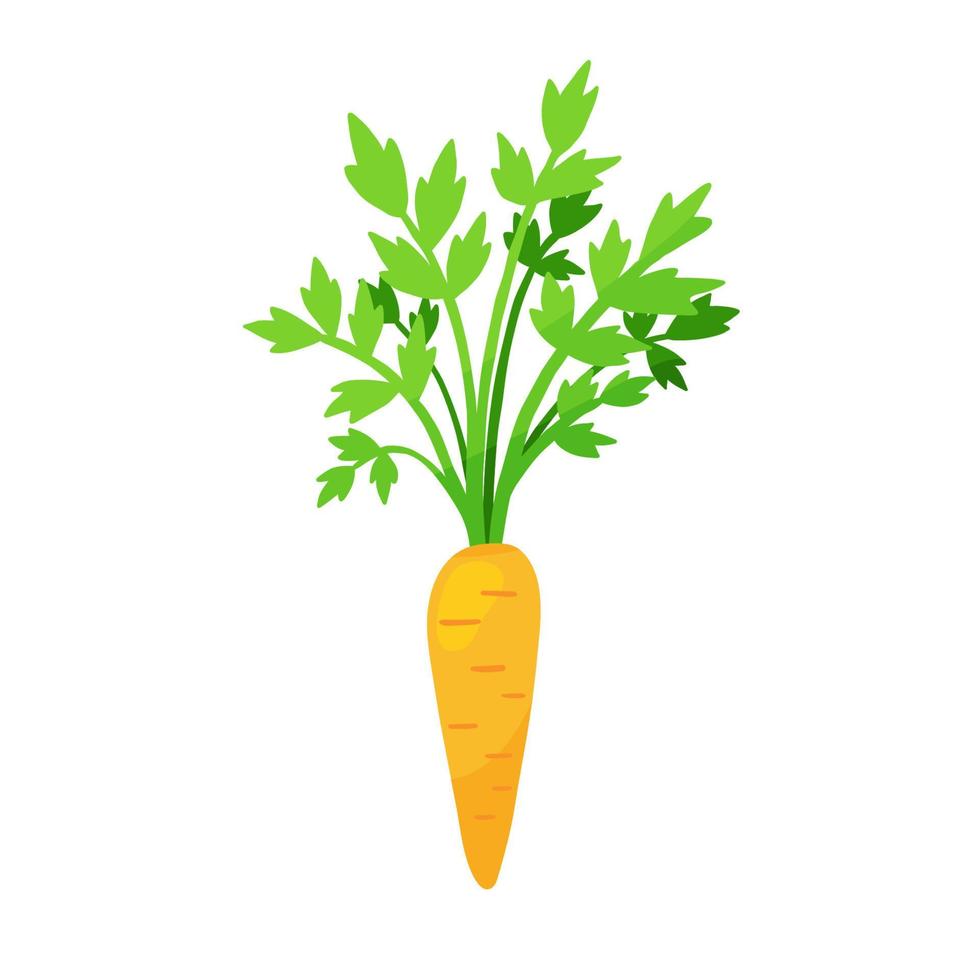 carota con foglie verdi in stile piatto. illustrazione vettoriale su bianco