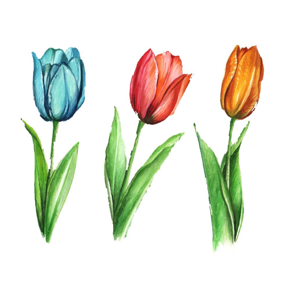 fiore di tulipani disegnati a mano vettore