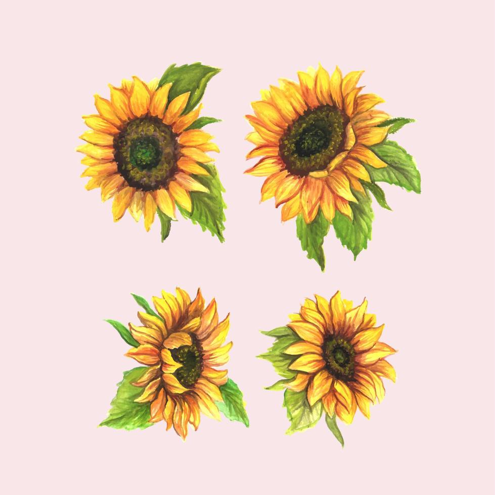 illustrazione fiori di sole in fiore disegnati a mano vettore