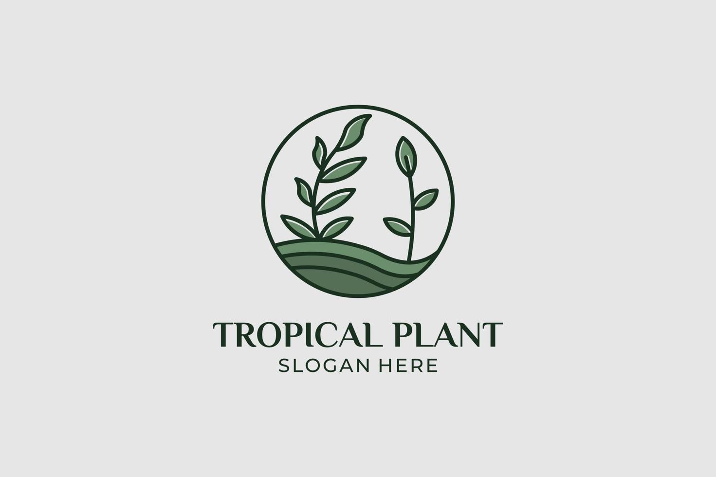 il logo della pianta tropicale ha impostato lo stile minimalista vettore
