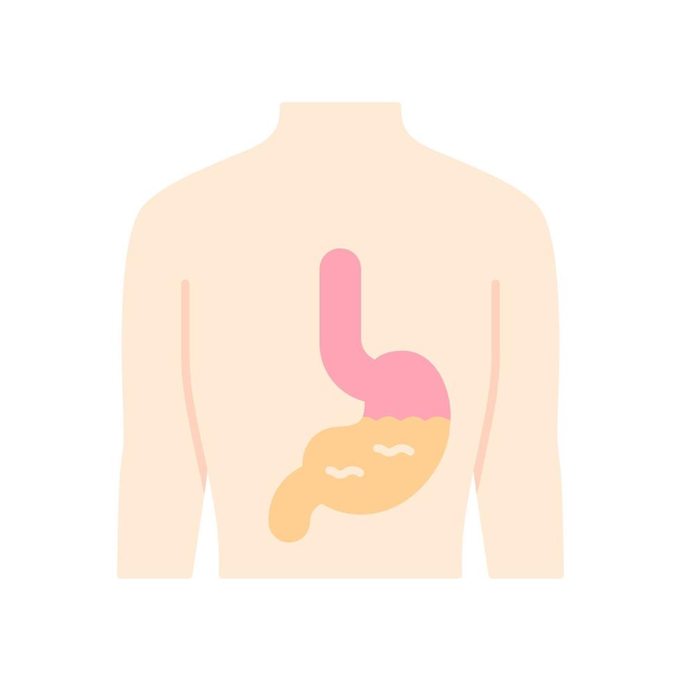 icona del colore dell'ombra lunga del design piatto dello stomaco sano. organo umano in buona salute. sistema digerente funzionante. tratto gastrointestinale sano. illustrazione della siluetta di vettore