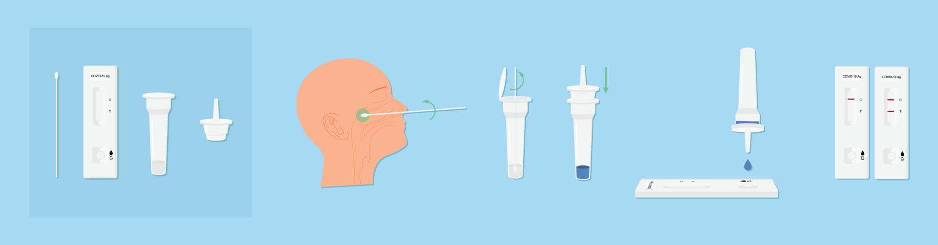 kit di test rapido dell'antigene per covid19 con infografica sul test del tampone come illustrazione vettoriale