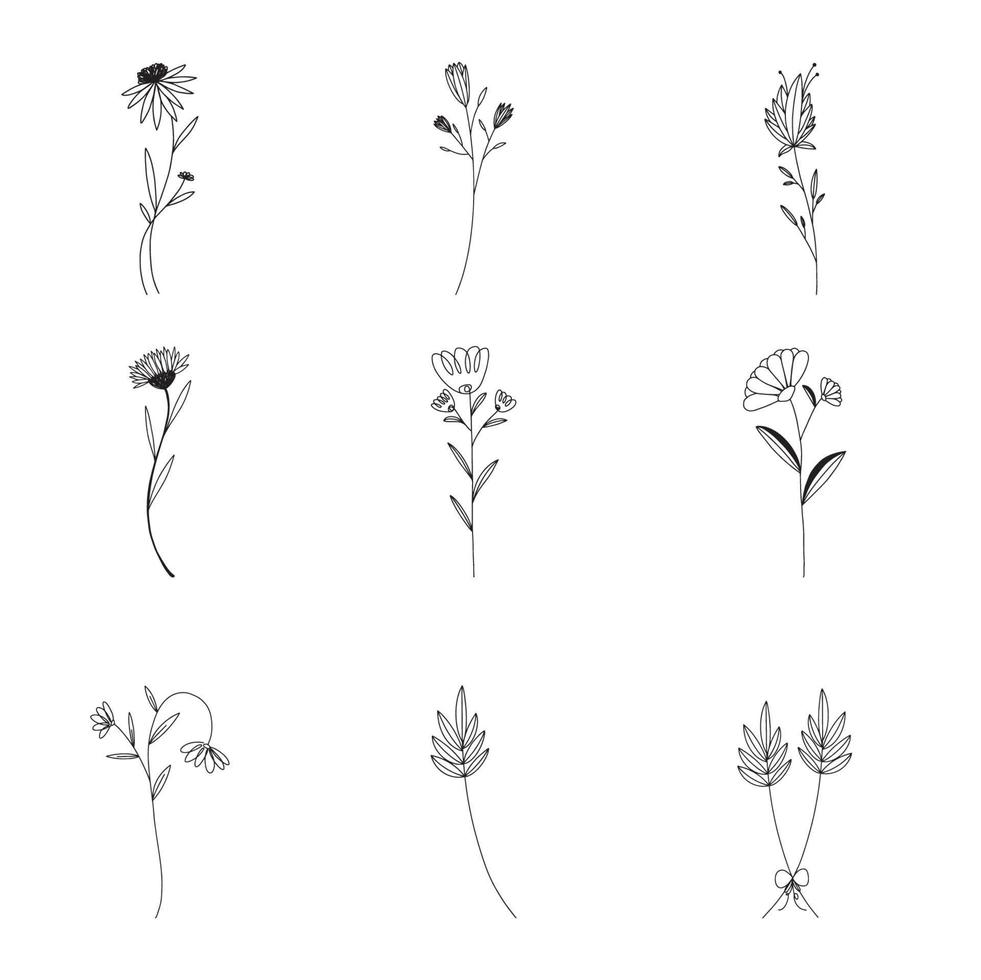 set disegnato a mano di foglie botaniche doodle wildflower line art vettore