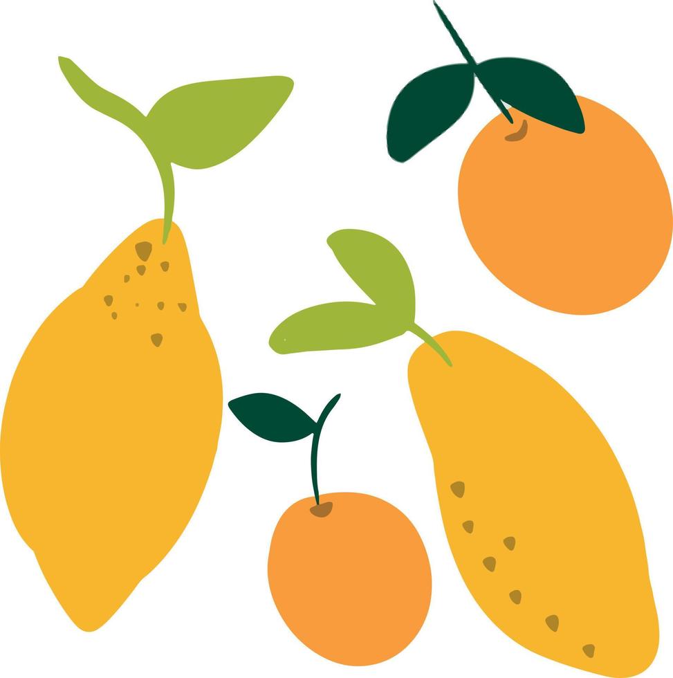 ClipArt di agrumi di limoni e arance vettore