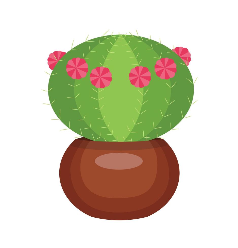cactus in un vaso illustrazione stock vettoriale isolato su sfondo bianco.