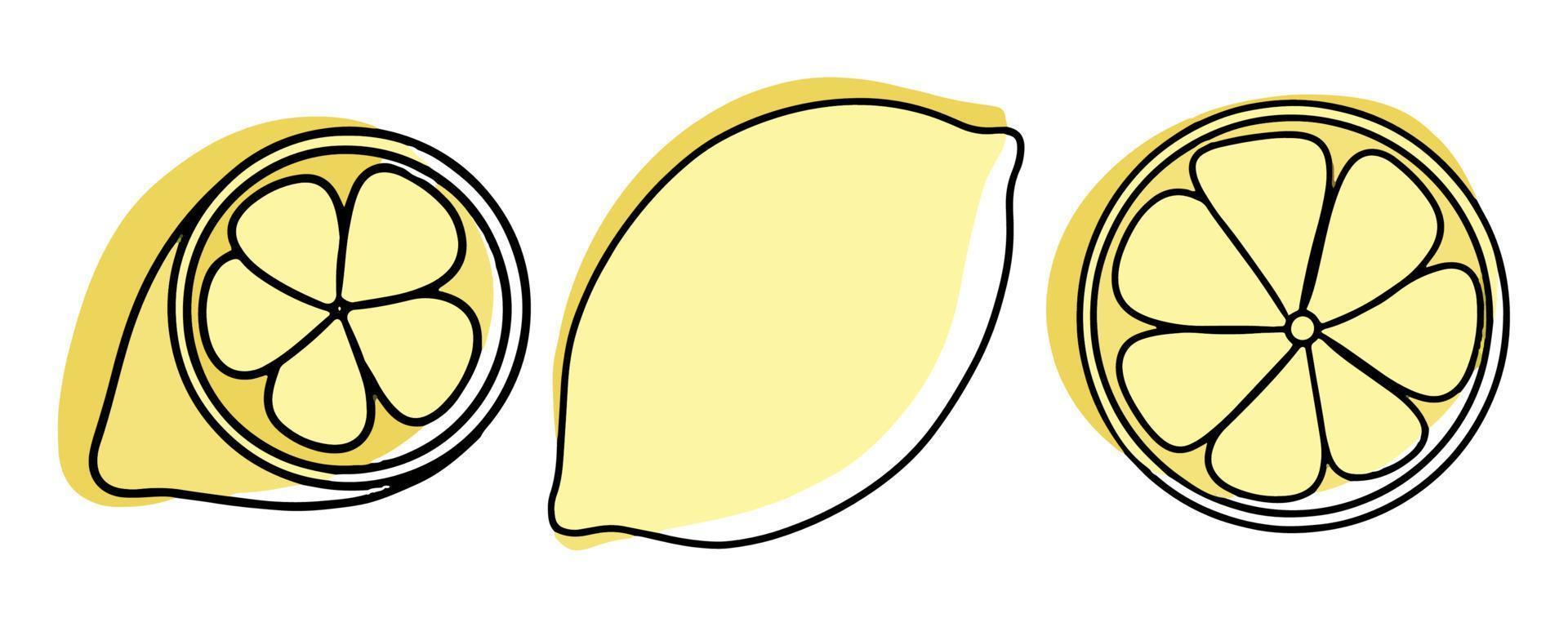 un insieme di frutti tropicali estivi. raccolta di limoni di frutta esotica. intero e fette di frutta. illustrazione vettoriale in stile lineare con macchie colorate