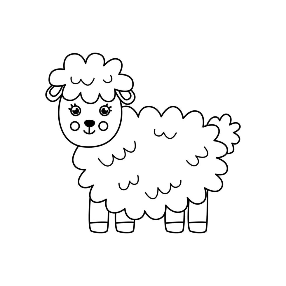 illustrazione vettoriale di pecore in bianco e nero su sfondo bianco.