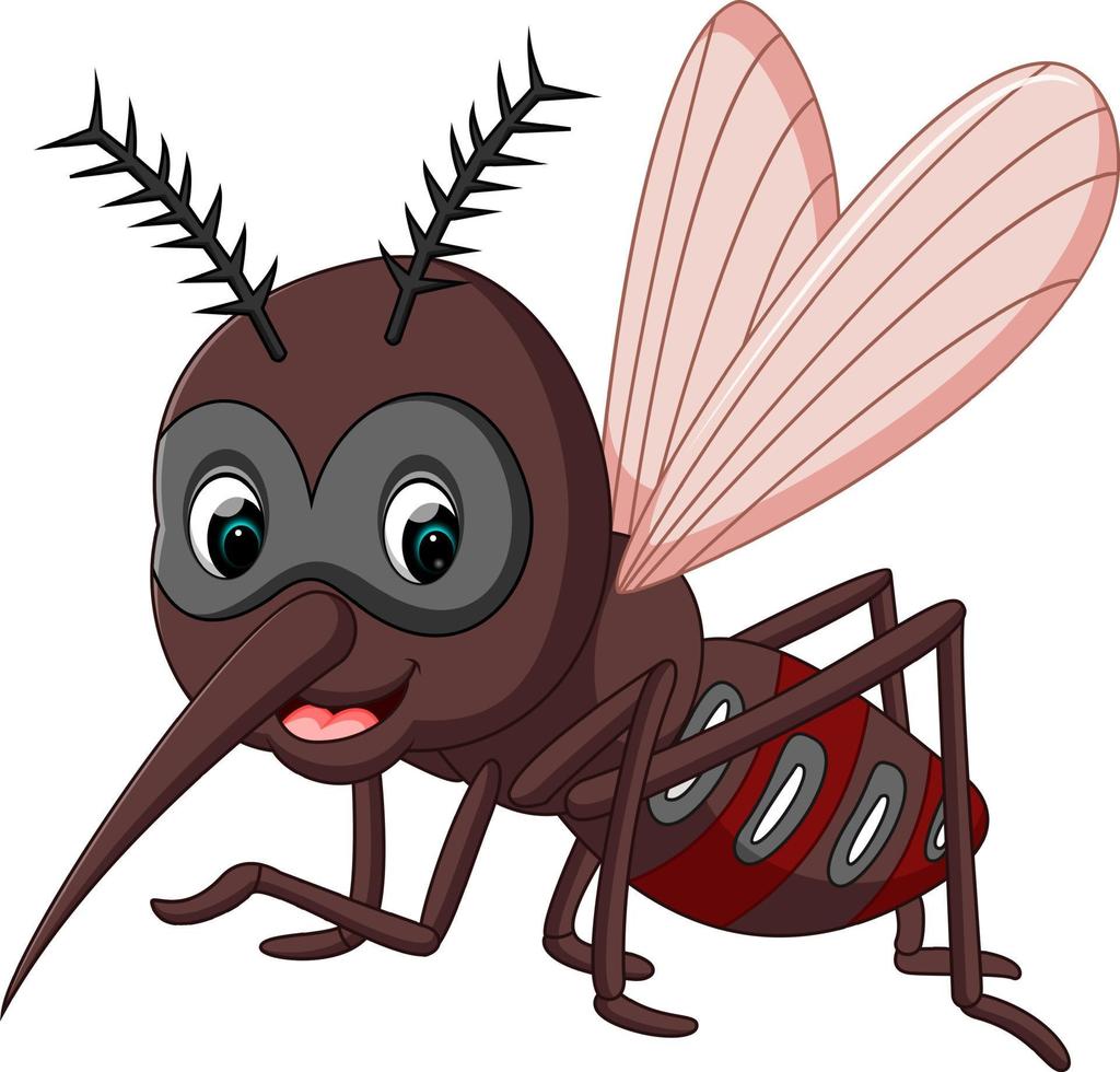 simpatico cartone animato di zanzara vettore