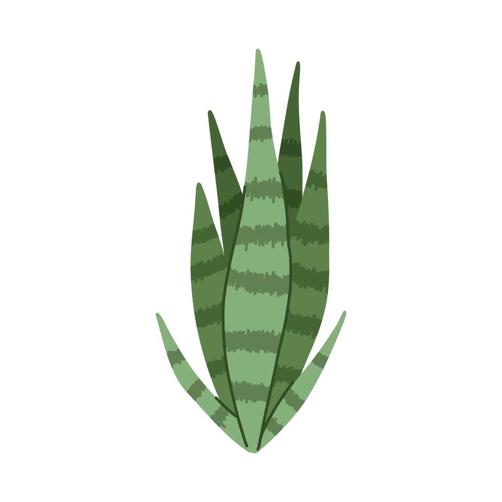 pianta di aloe a strisce verdi vettore