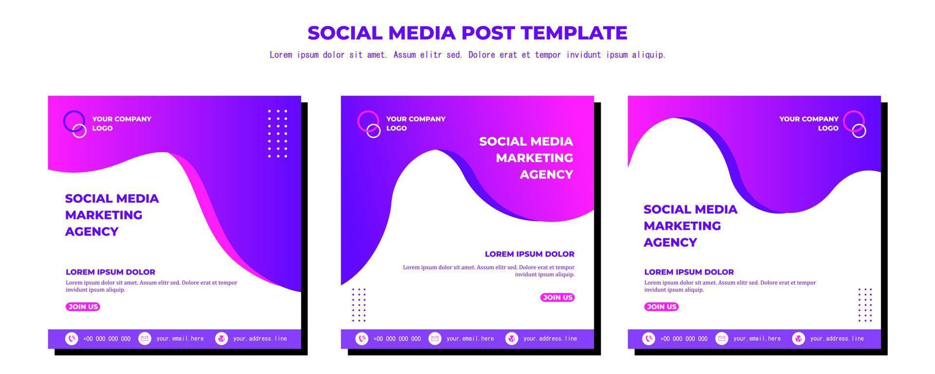 modello di post sui social media di vettore bianco viola, illustrazione di arte vettoriale e testo