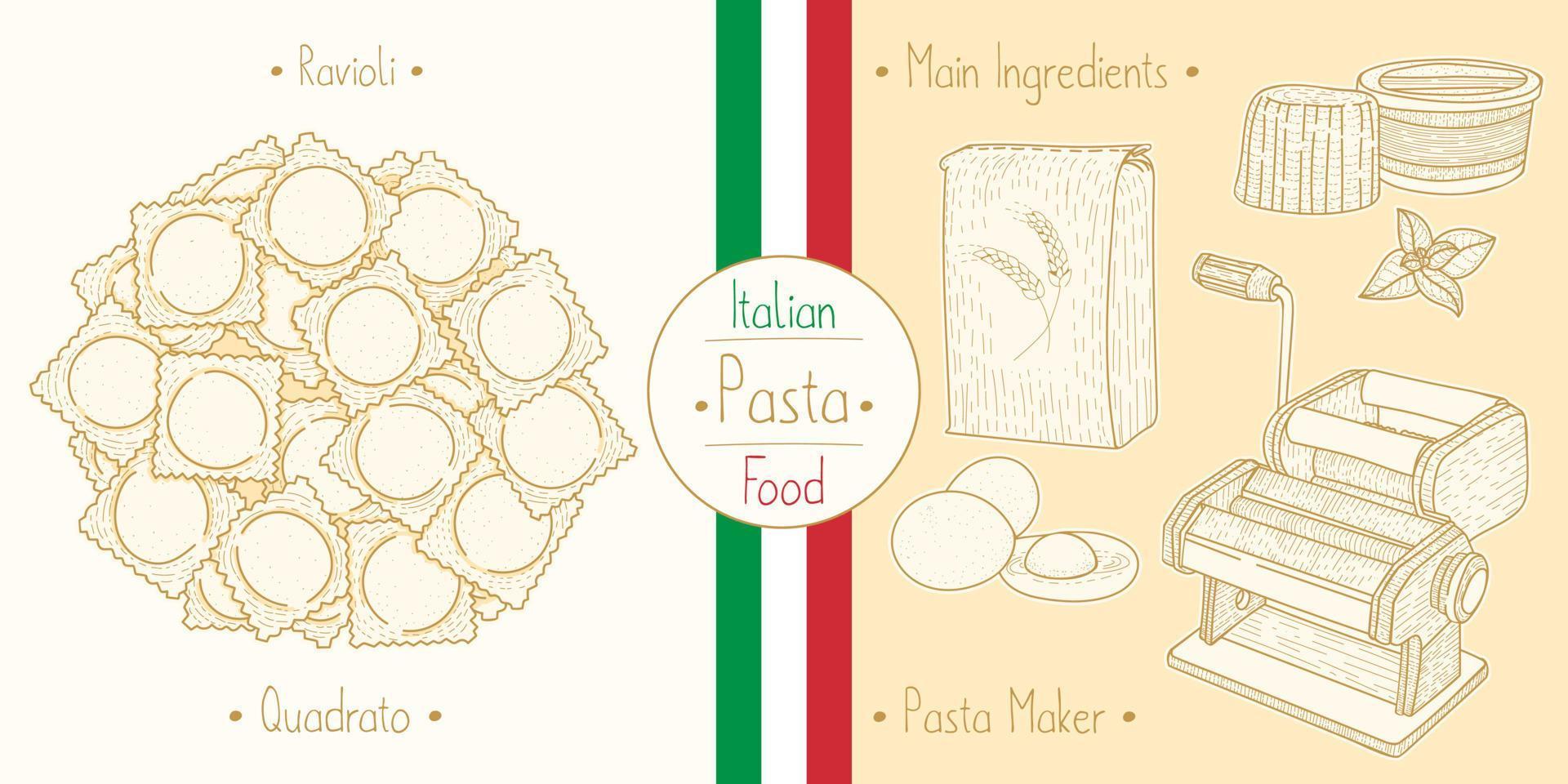 pasta alimentare italiana con ripieno di ravioli quadrati, illustrazione di schizzo in stile vintage vettore