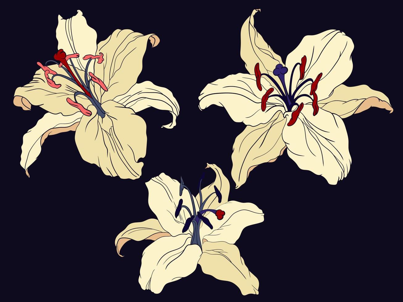 giglio orientale tre fiori su un colore scuro vettore