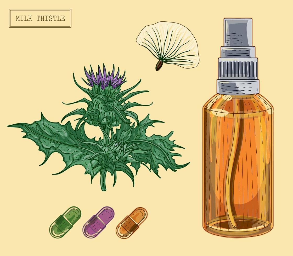 pianta medica di cardo mariano e bottiglia spruzzatore, illustrazione disegnata a mano in stile retrò vettore